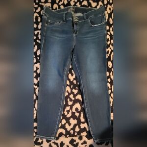 Torrid Dark Blue Skinny Jeans